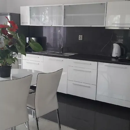 Apartment Apartament 4 - Osobowy W Trzesaczu *